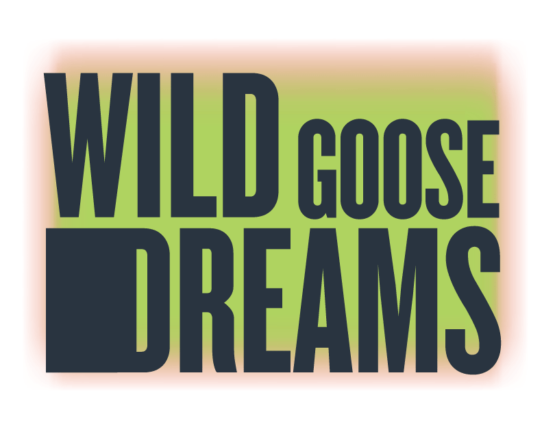 Wild Goose Dreams, by Hansol Jung (New York, NY)