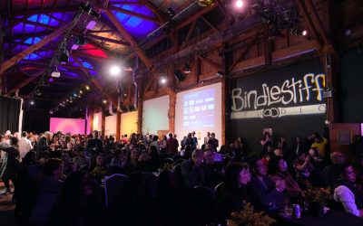 Bindlestiff Studio Closed