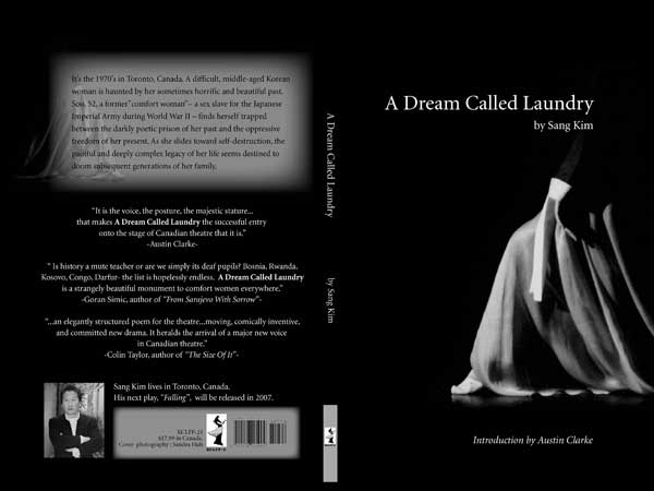 A DREAM CALLED LAUNDRY cover